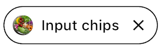 Light input chip